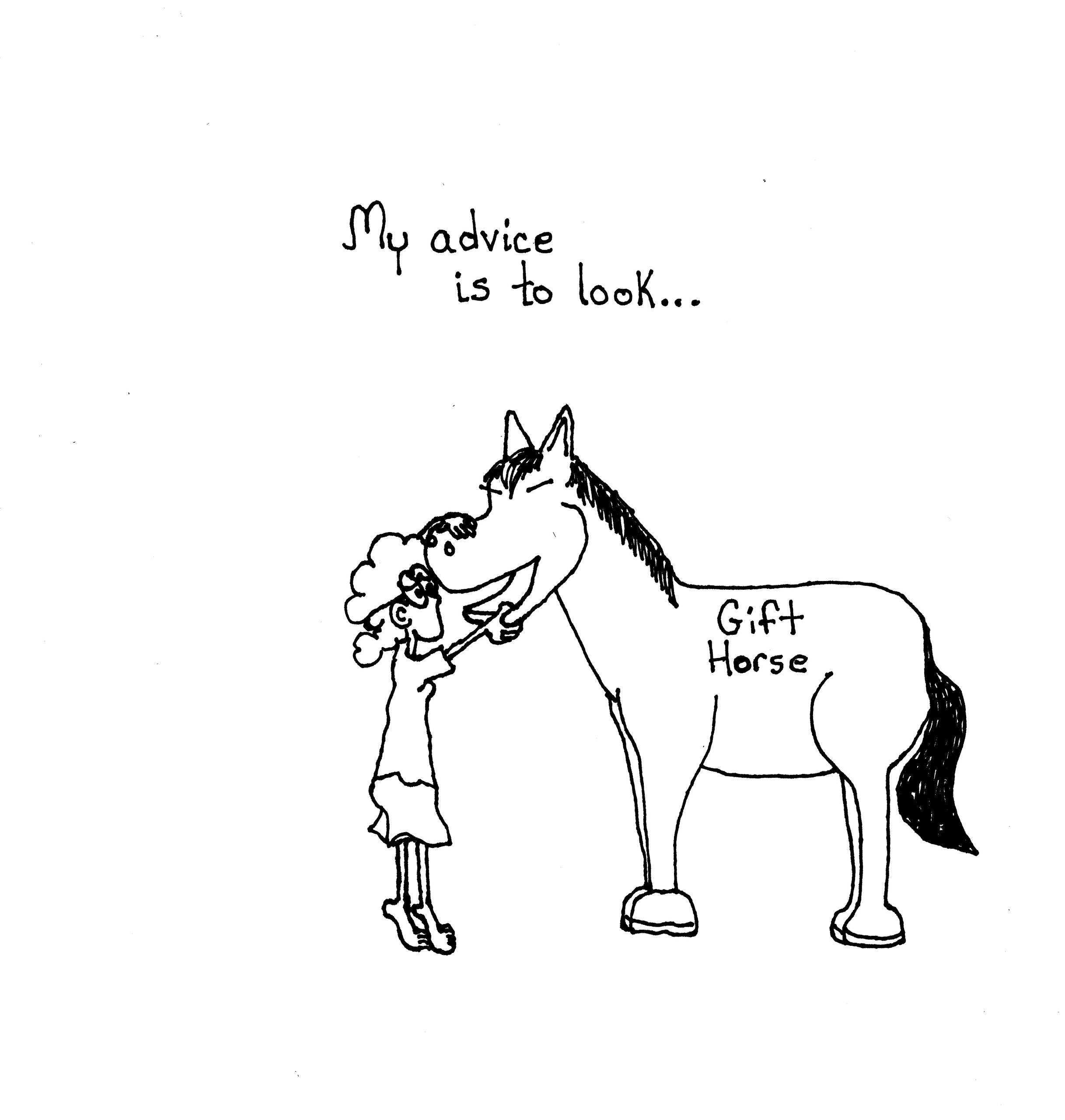 Gift Horse