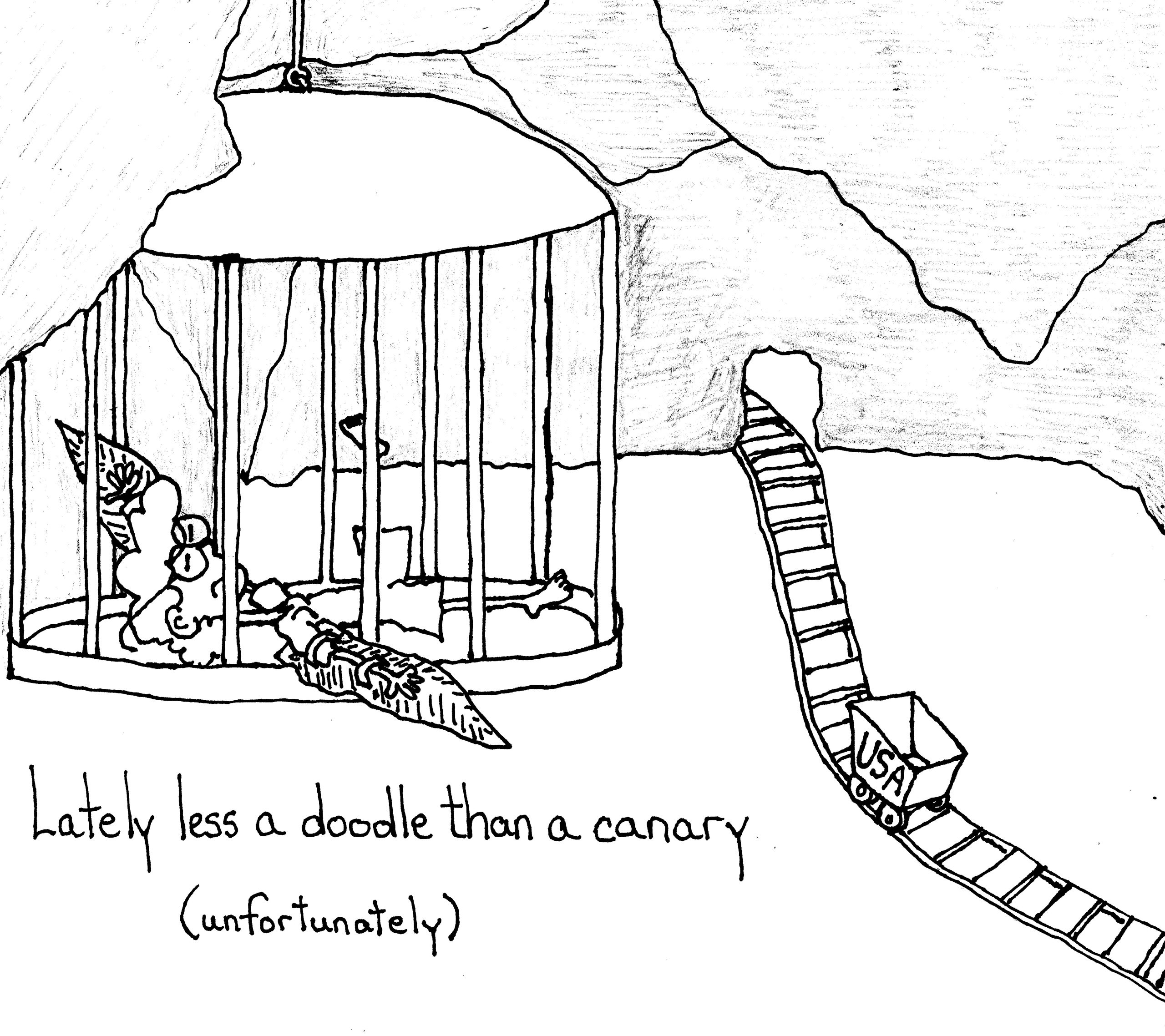 Canary