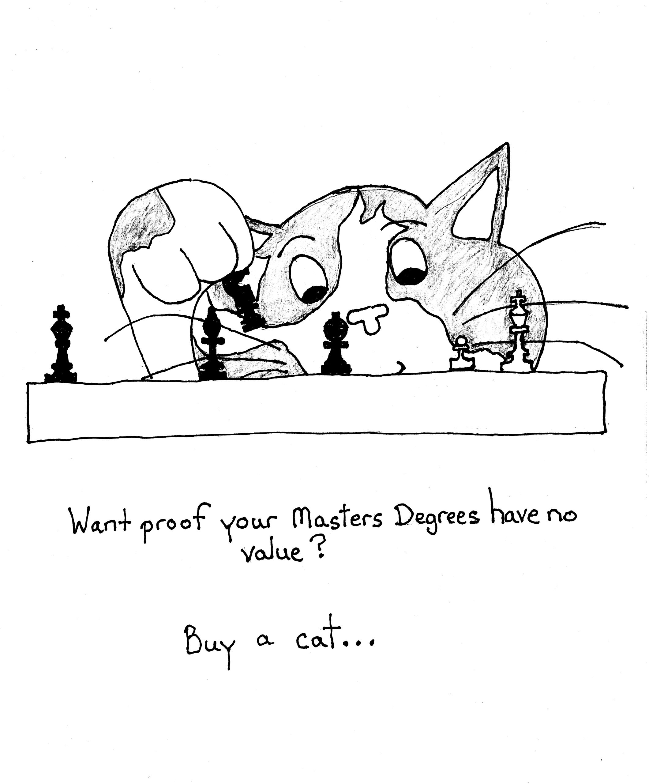 Buy A Cat