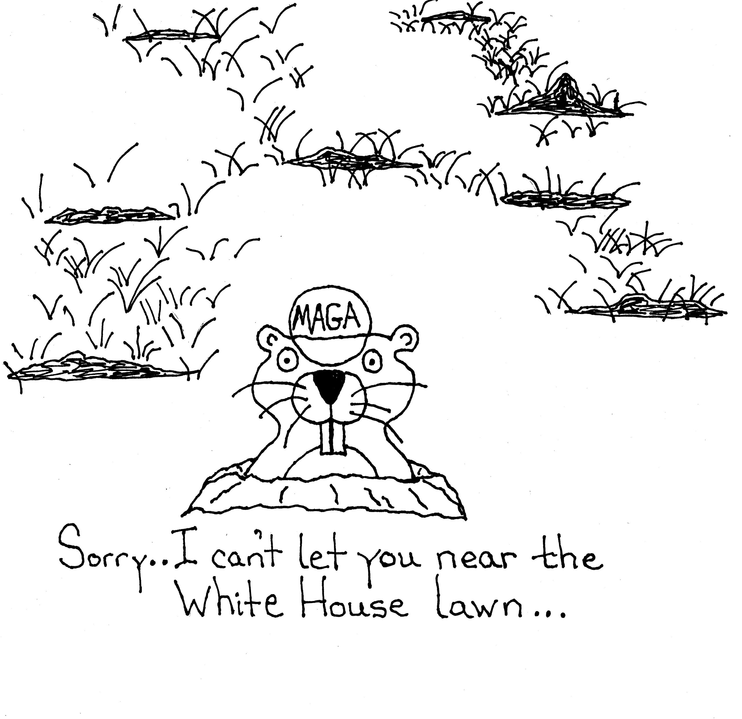 Maga Gopher