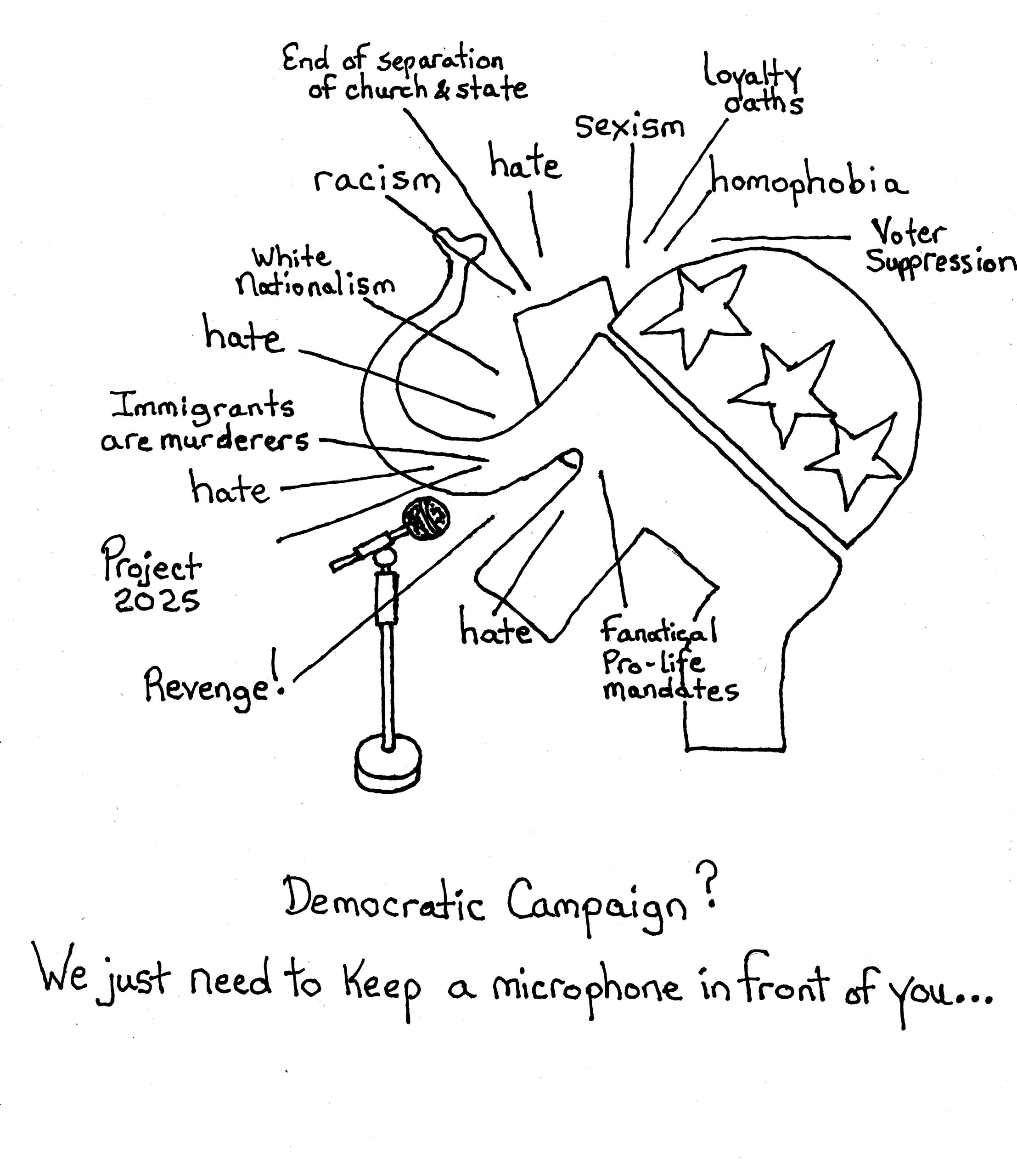 The Microphone