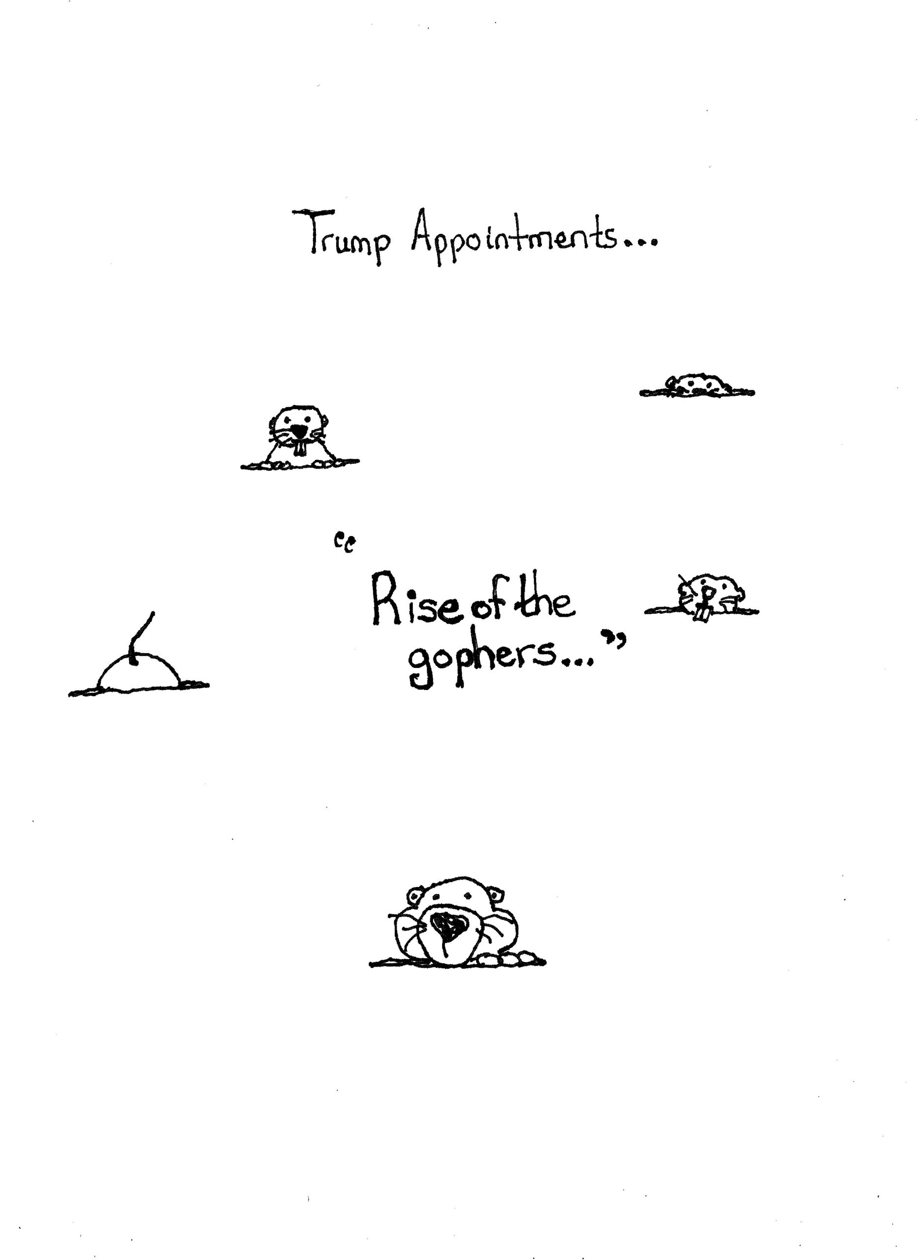 Rise Of Gophers