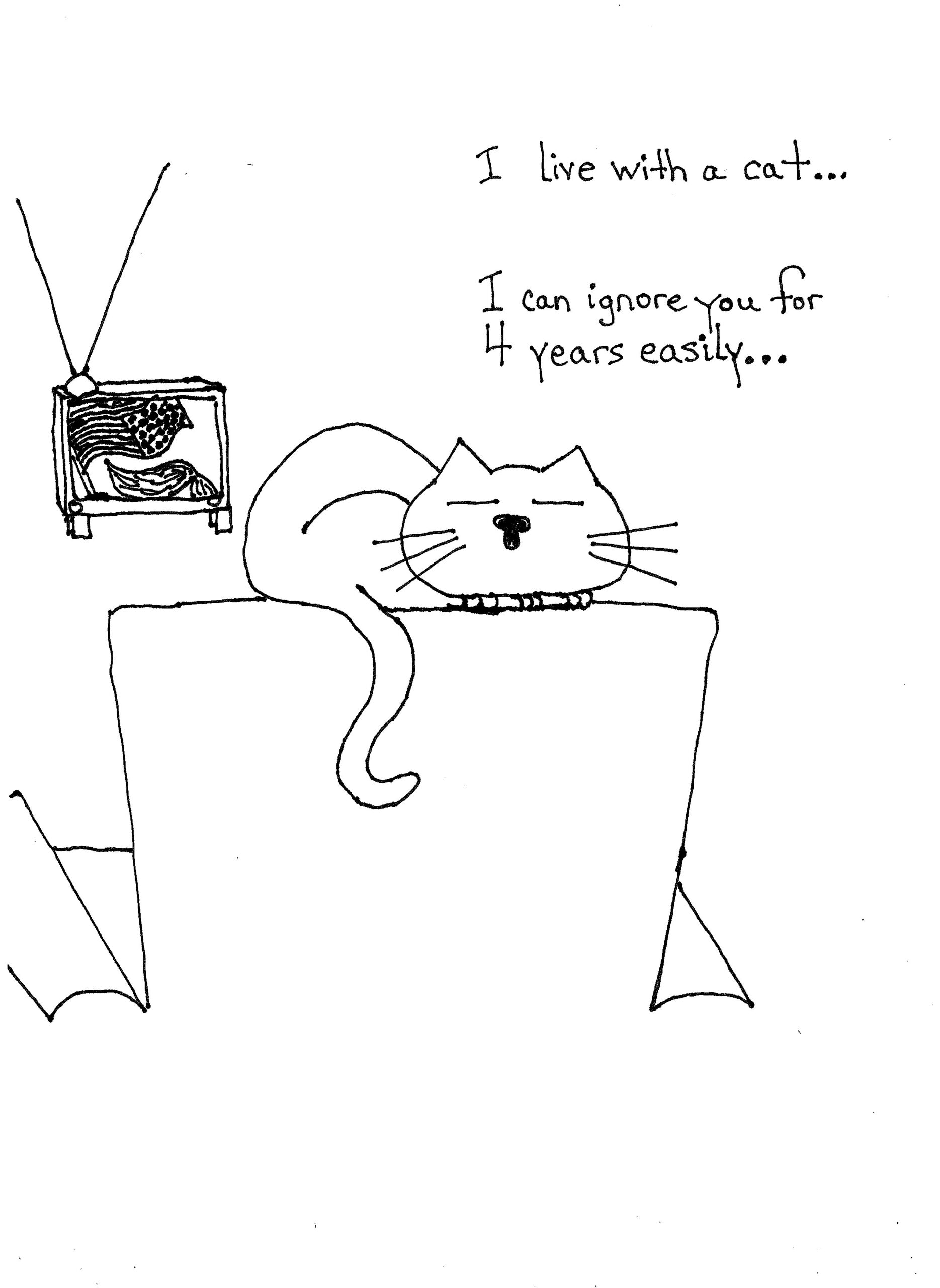 Live With A Cat