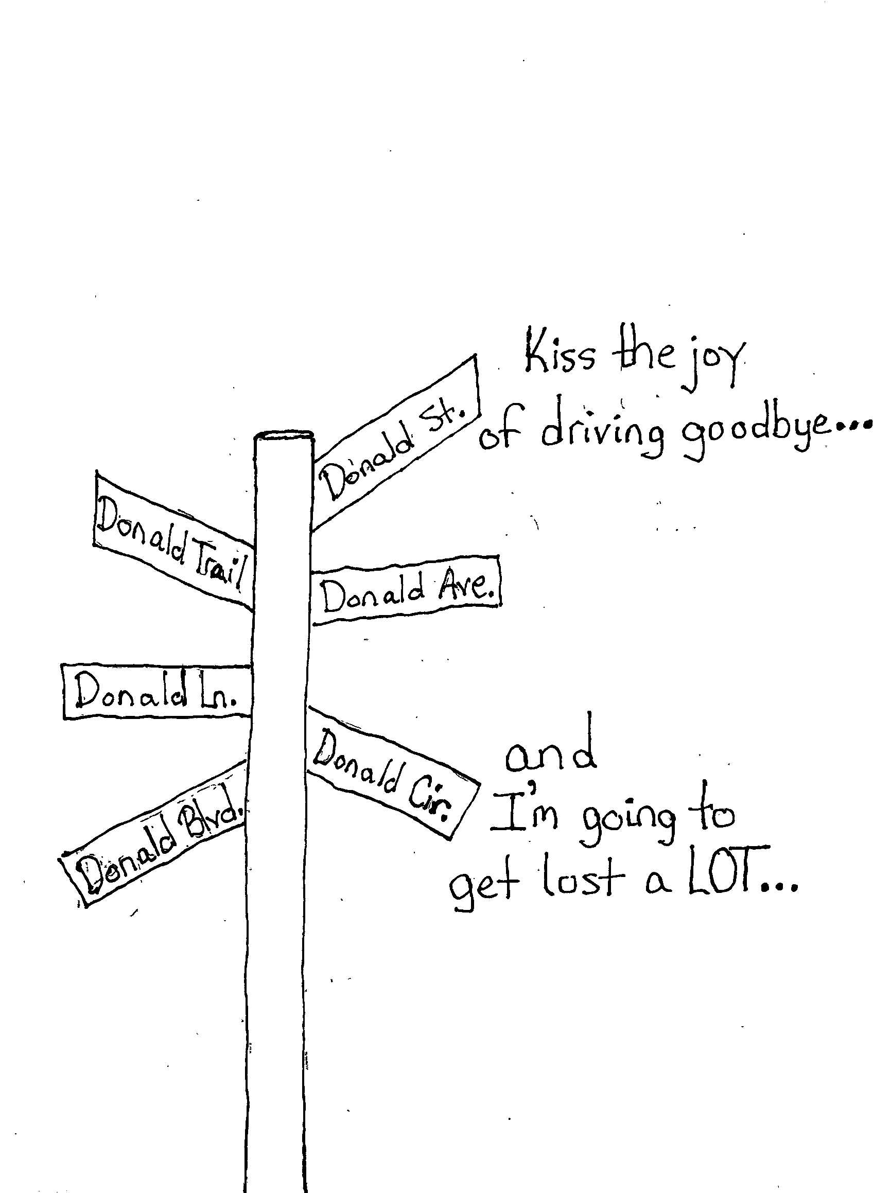 The Joy Of Driving