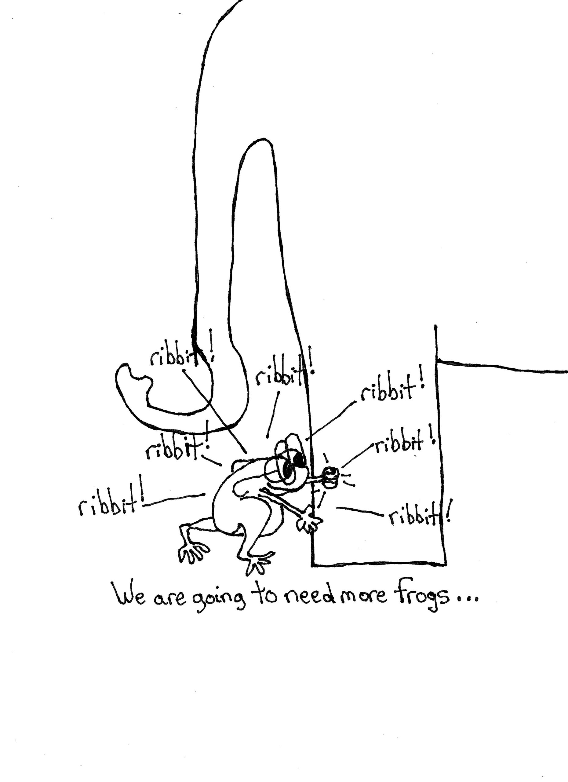 More Frogs