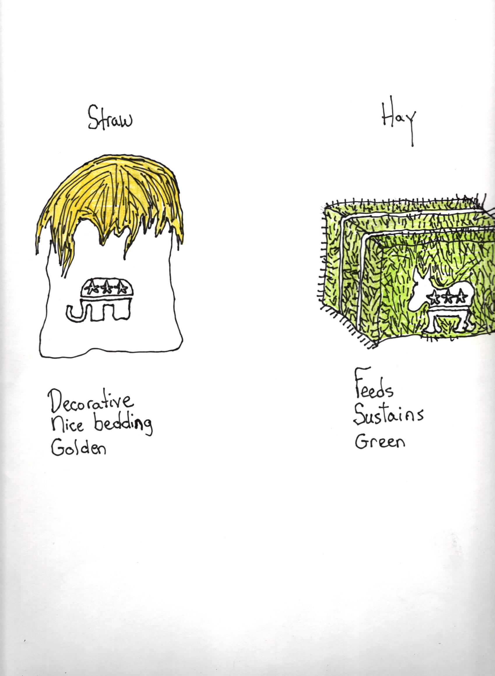 Hay And Straw