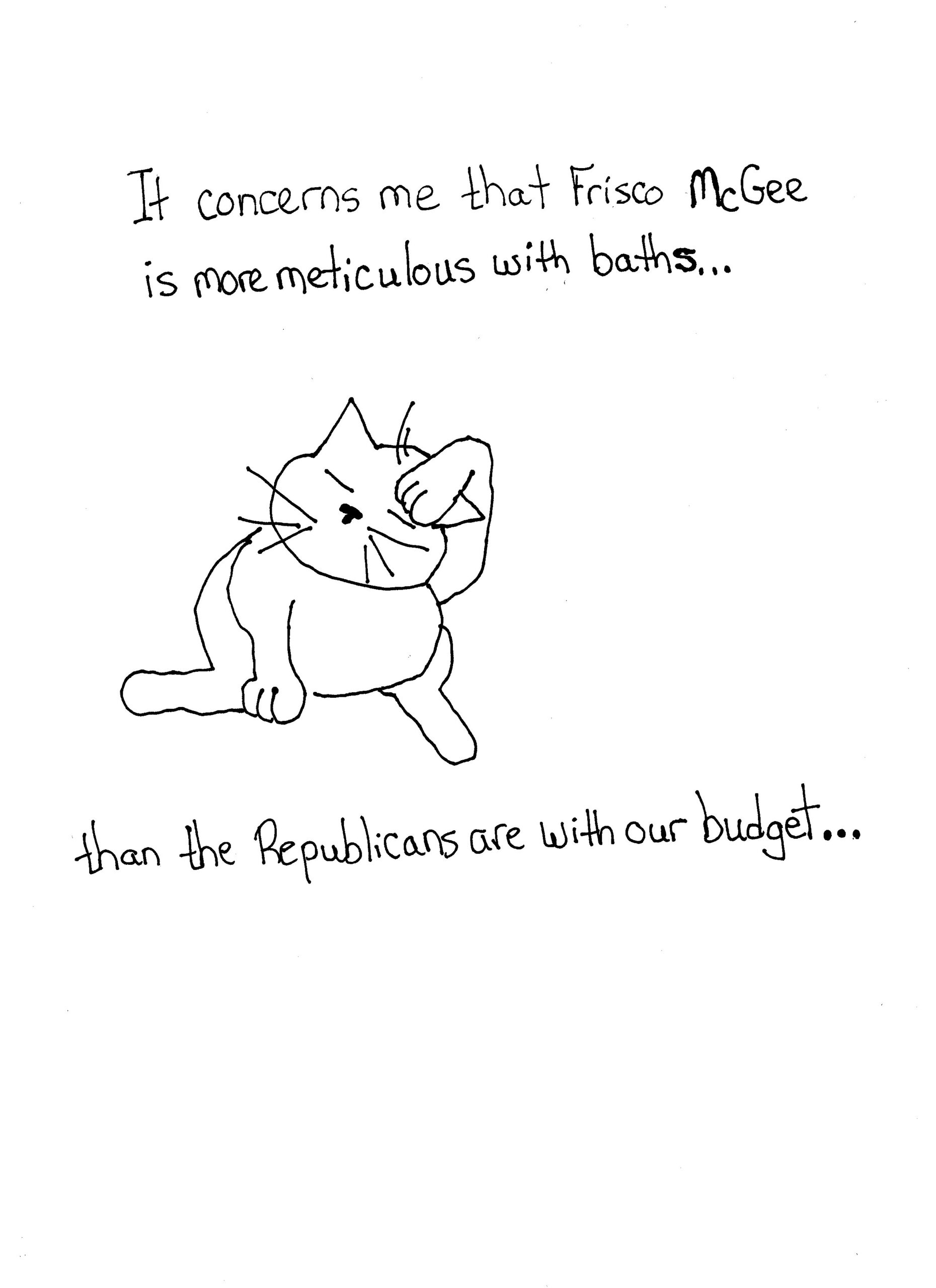 Meticulous Cat