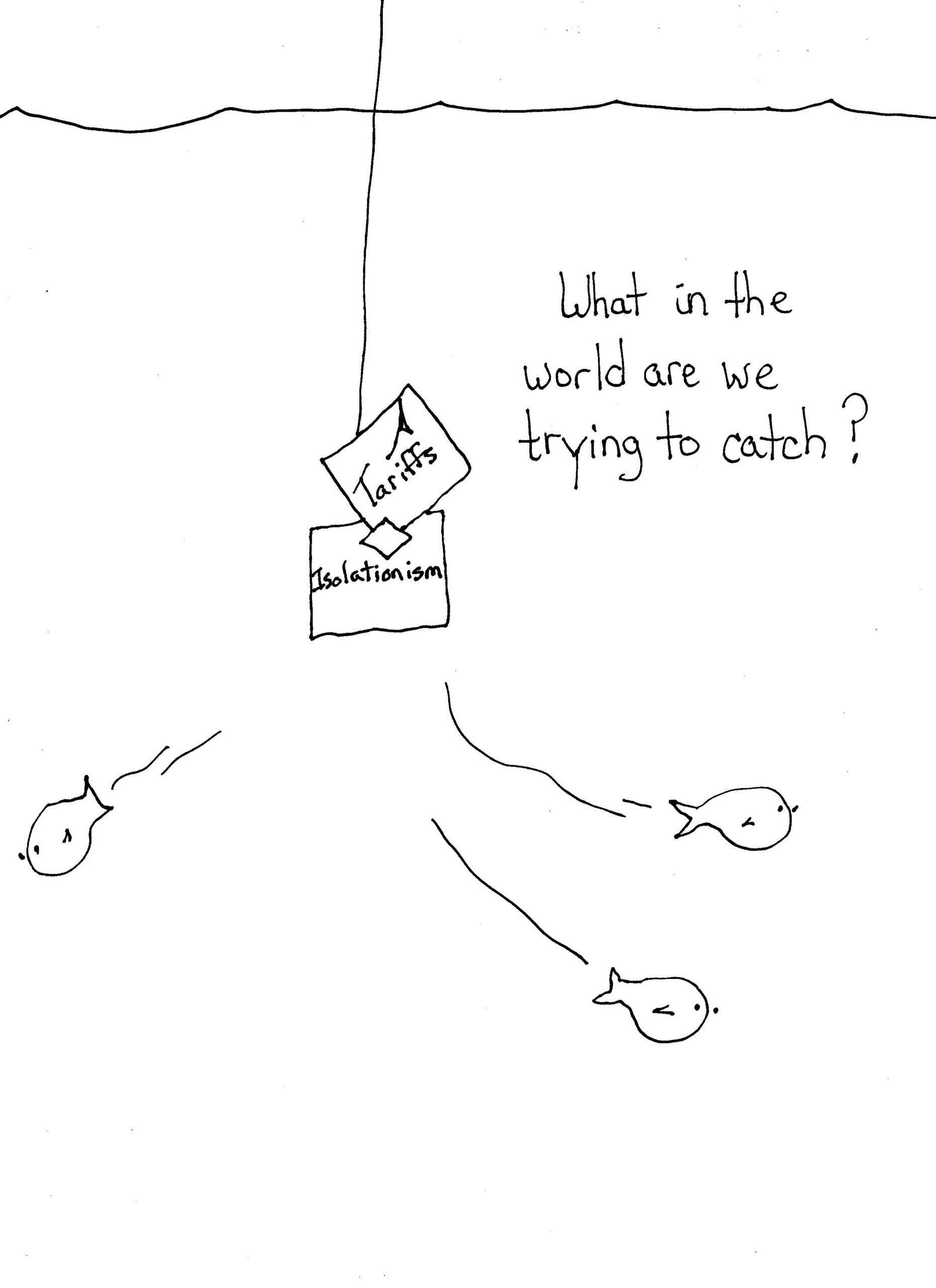 What Fish For