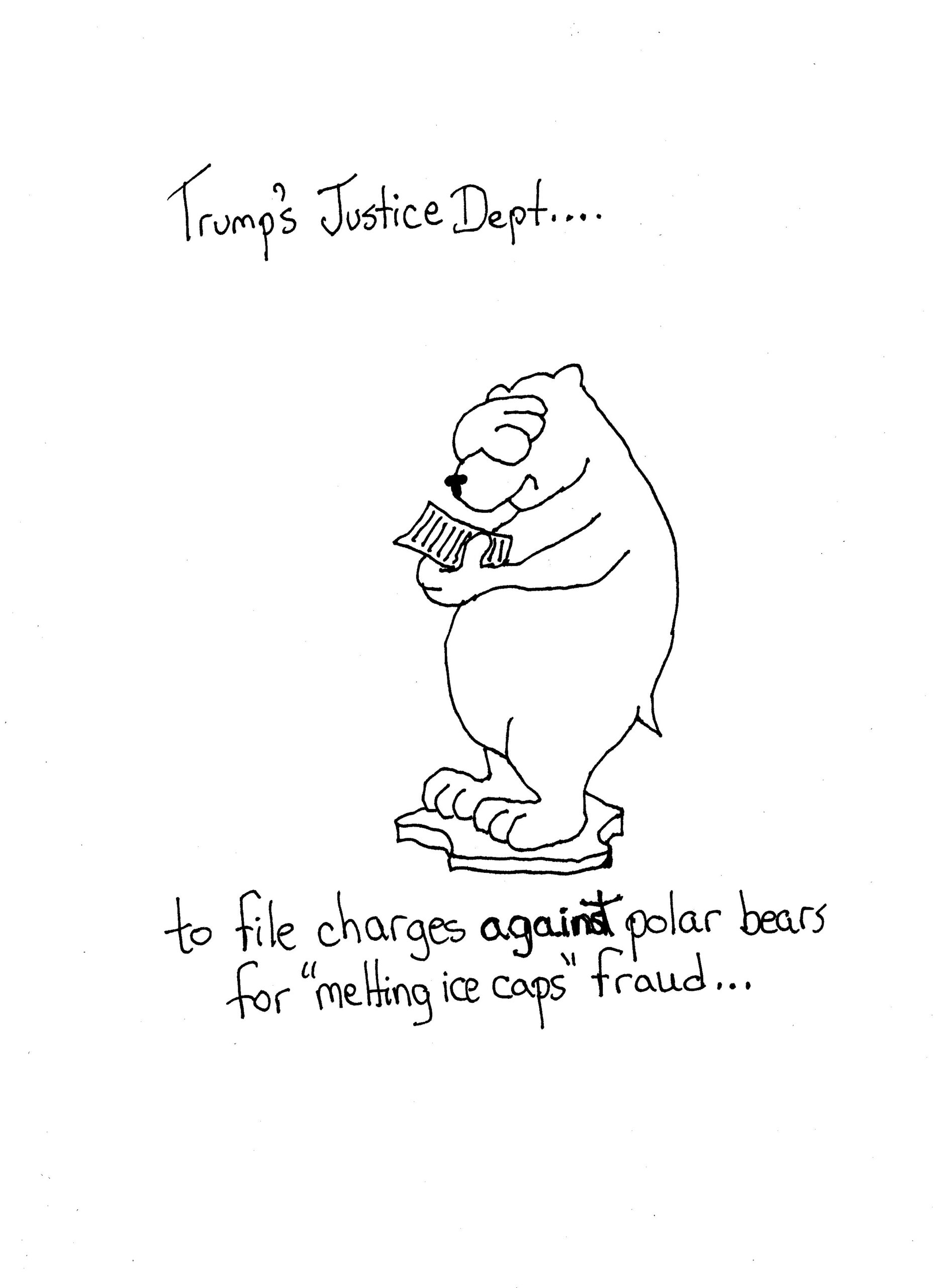 Polar Fraud