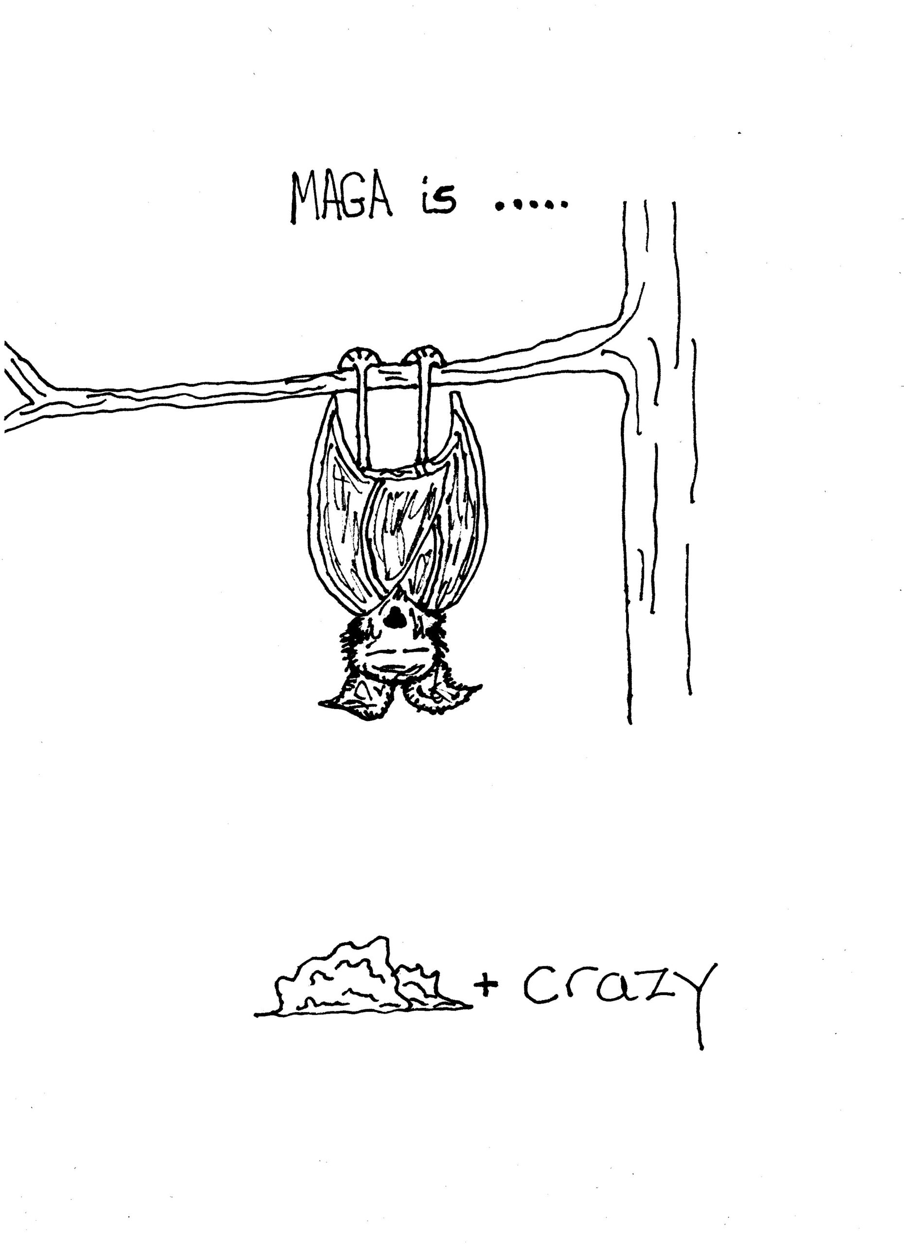 Bat Crap