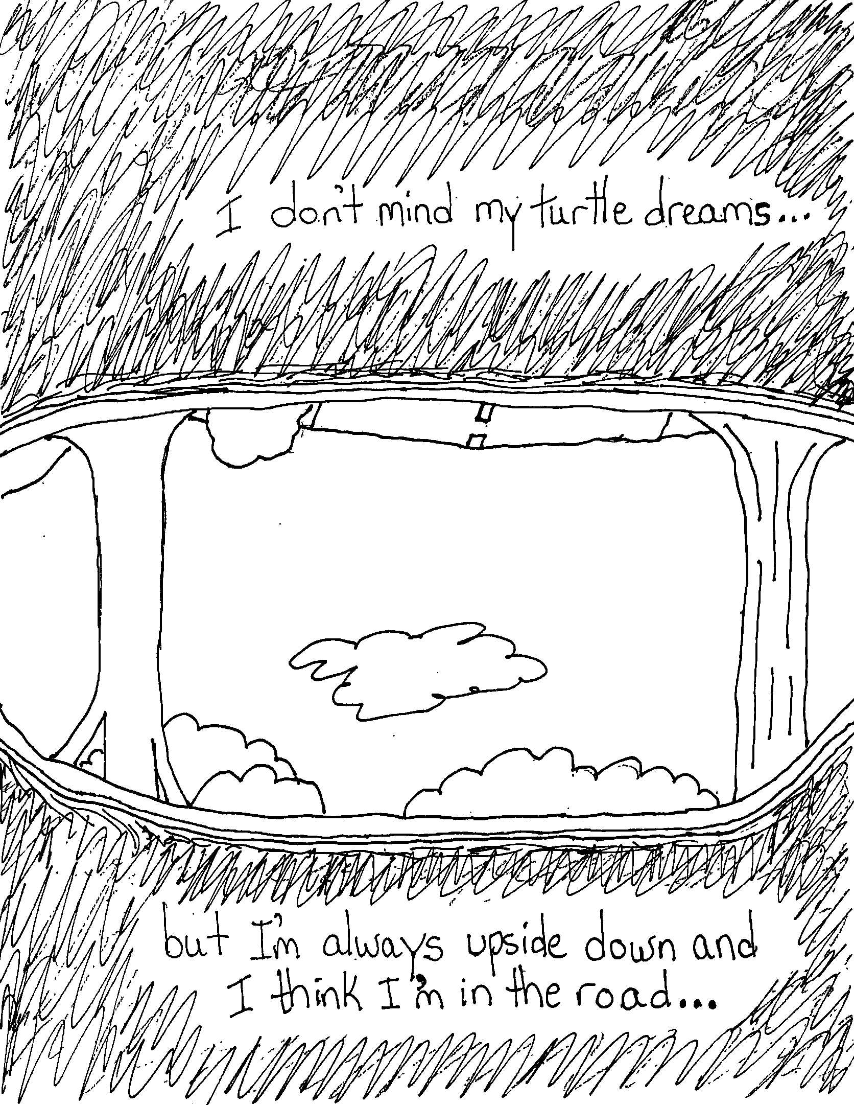 Turtle Dream