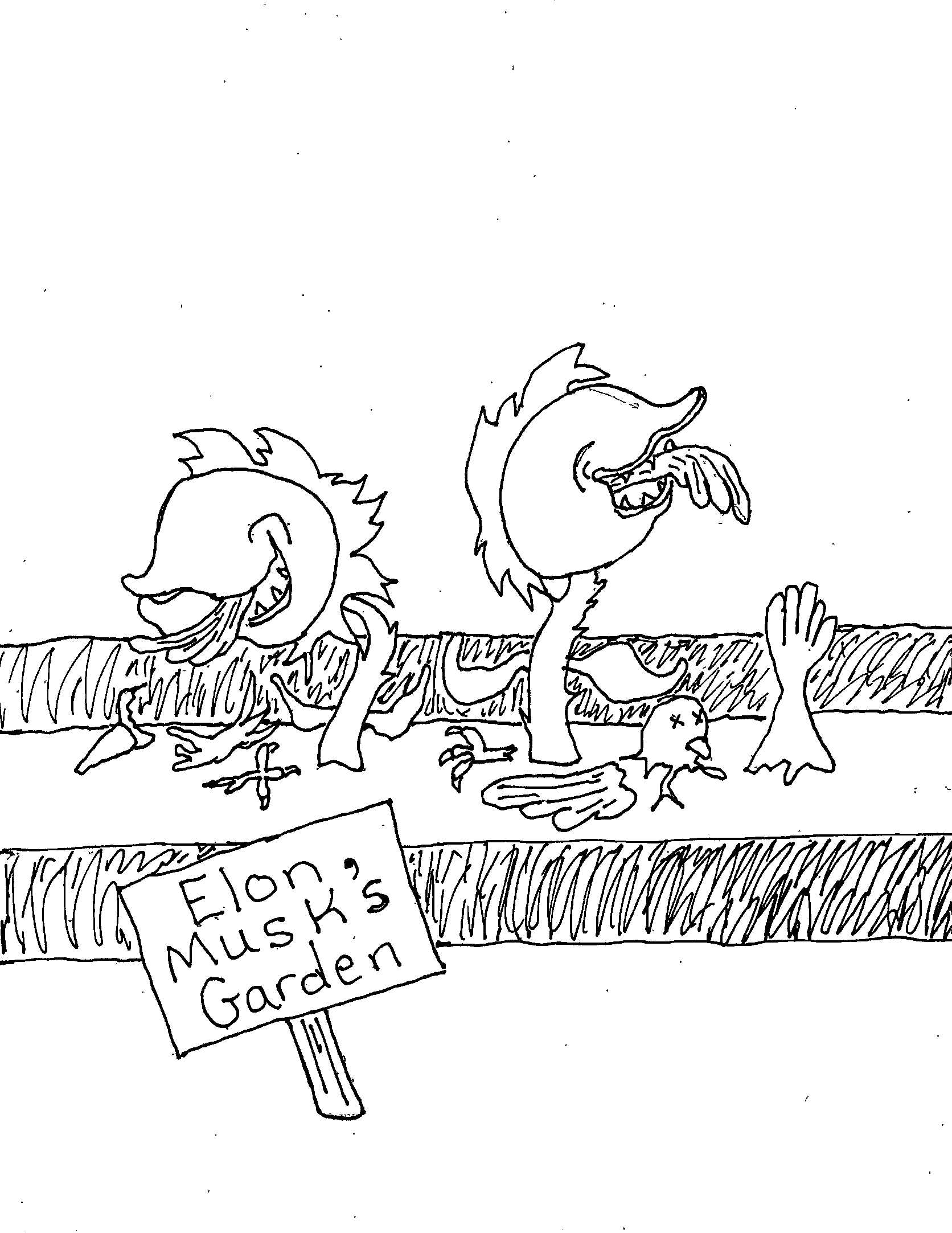 Elon Garden