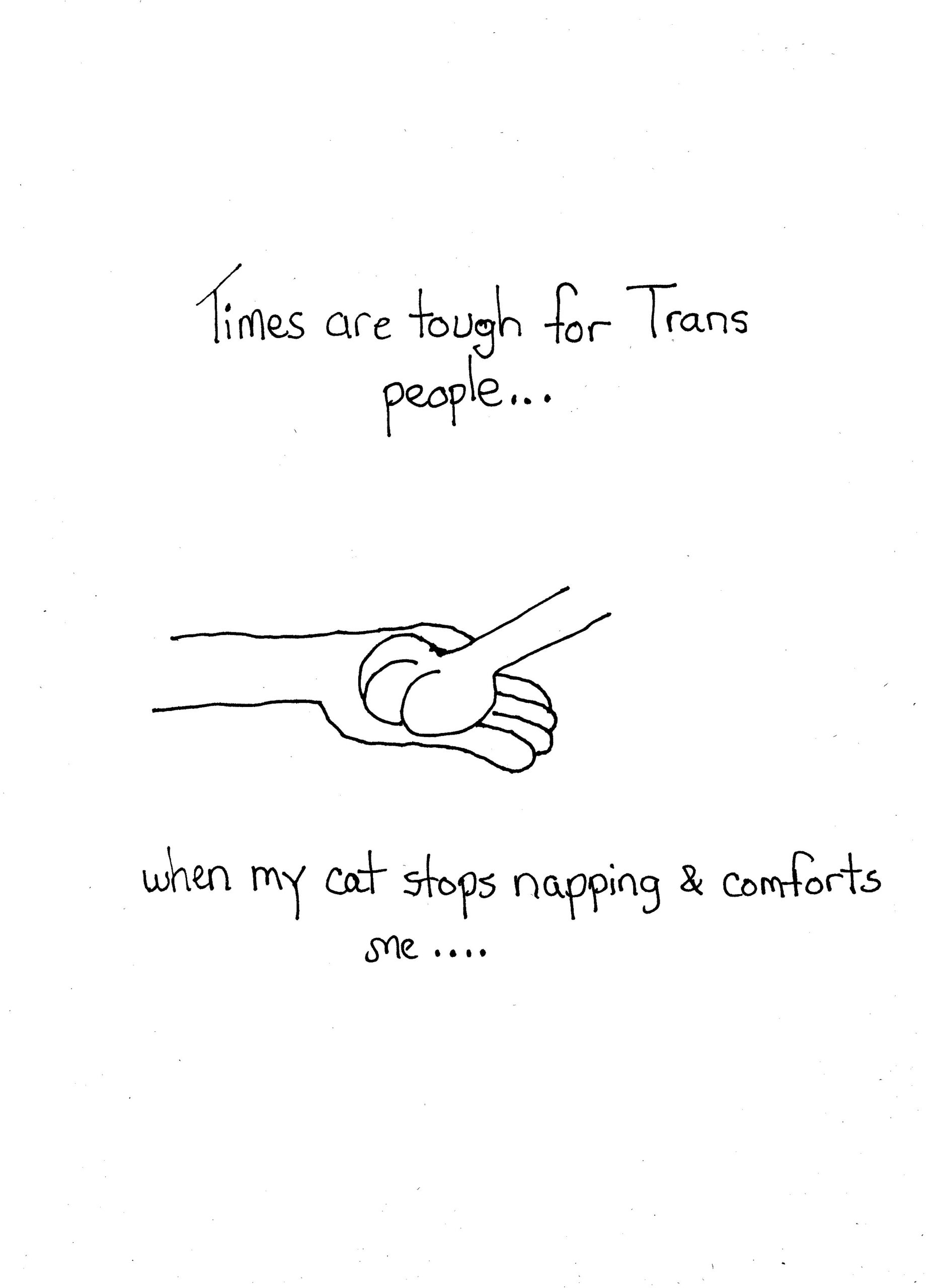 Bad Cat Sign