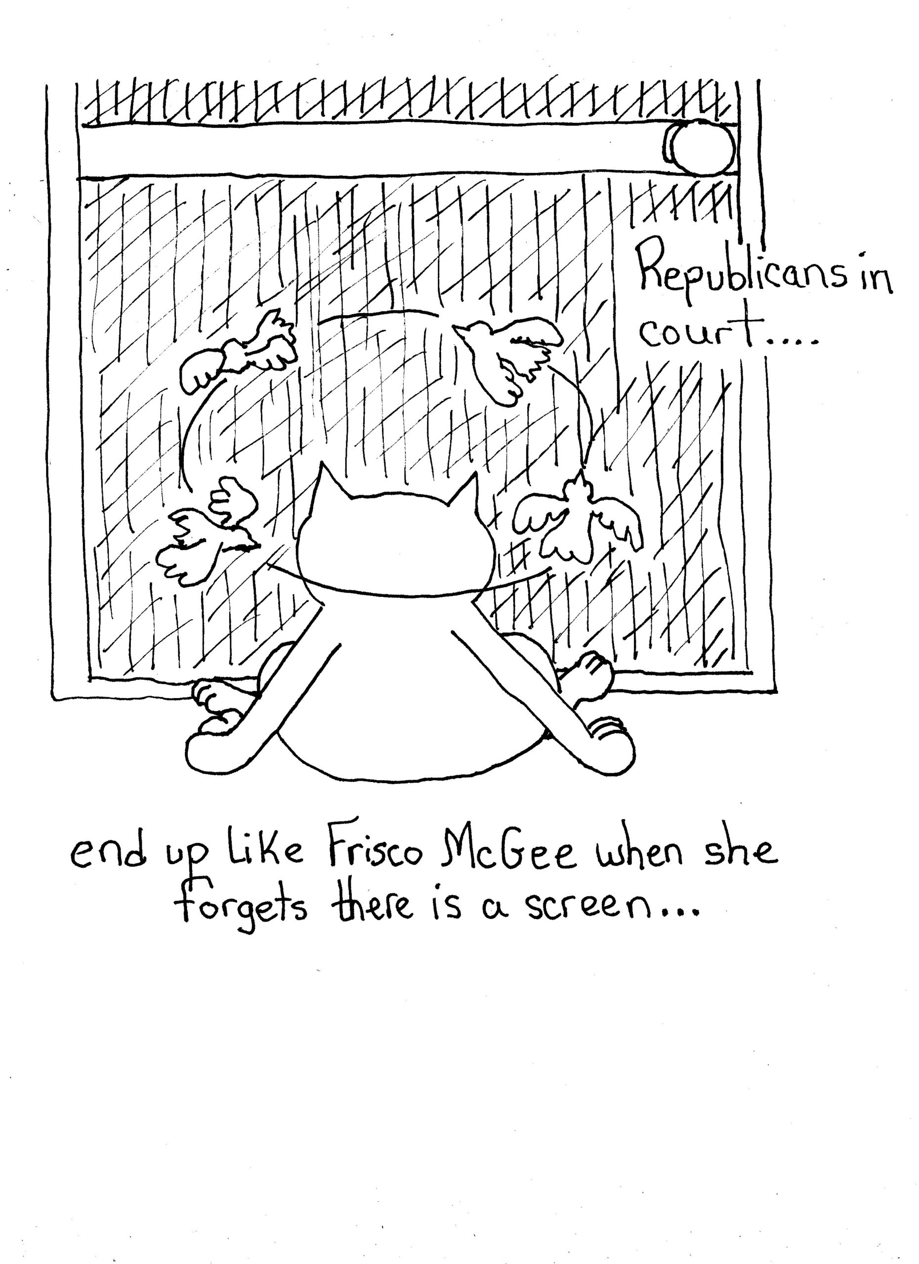 Screen Door
