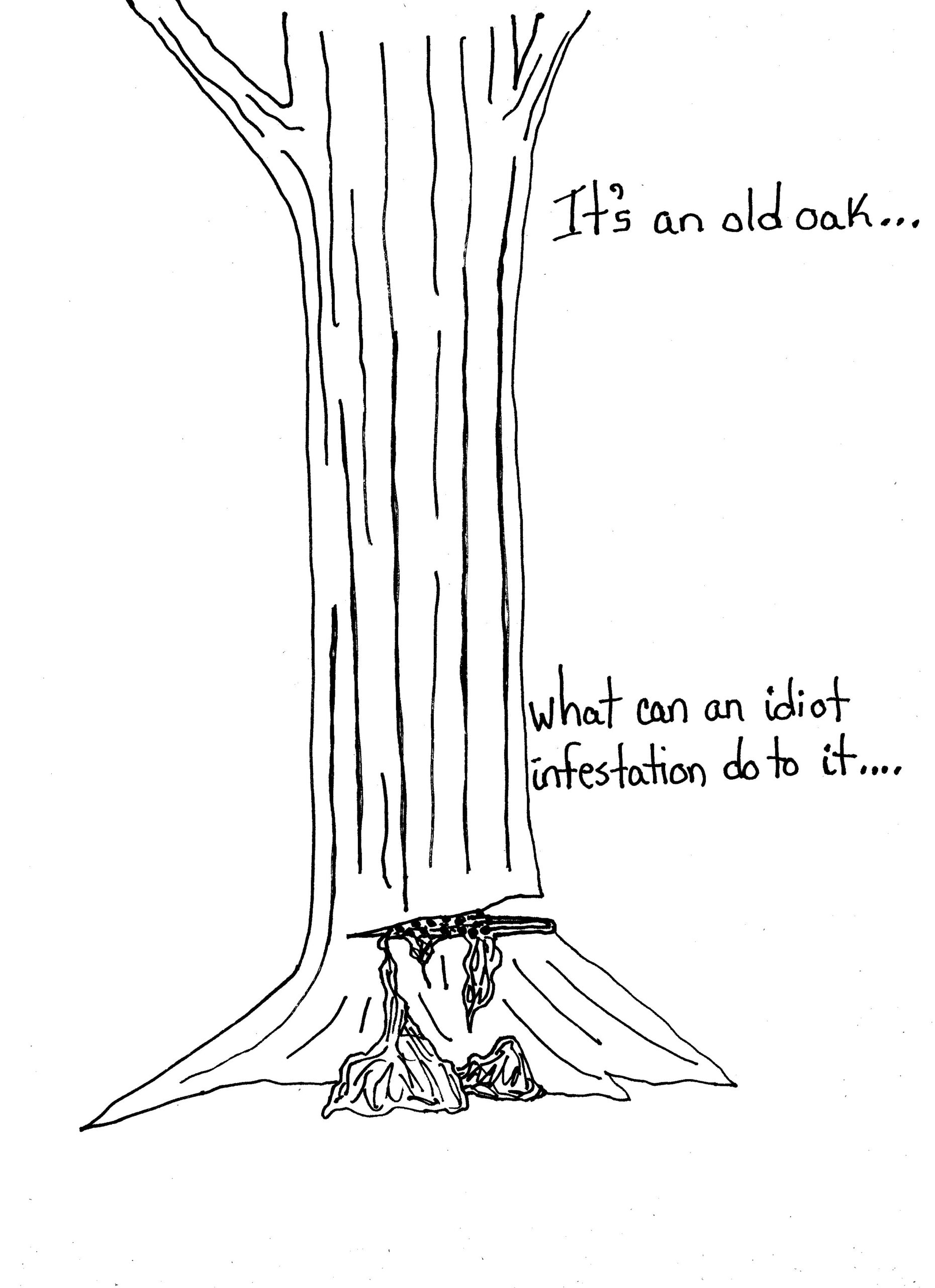 Grand Old Oak