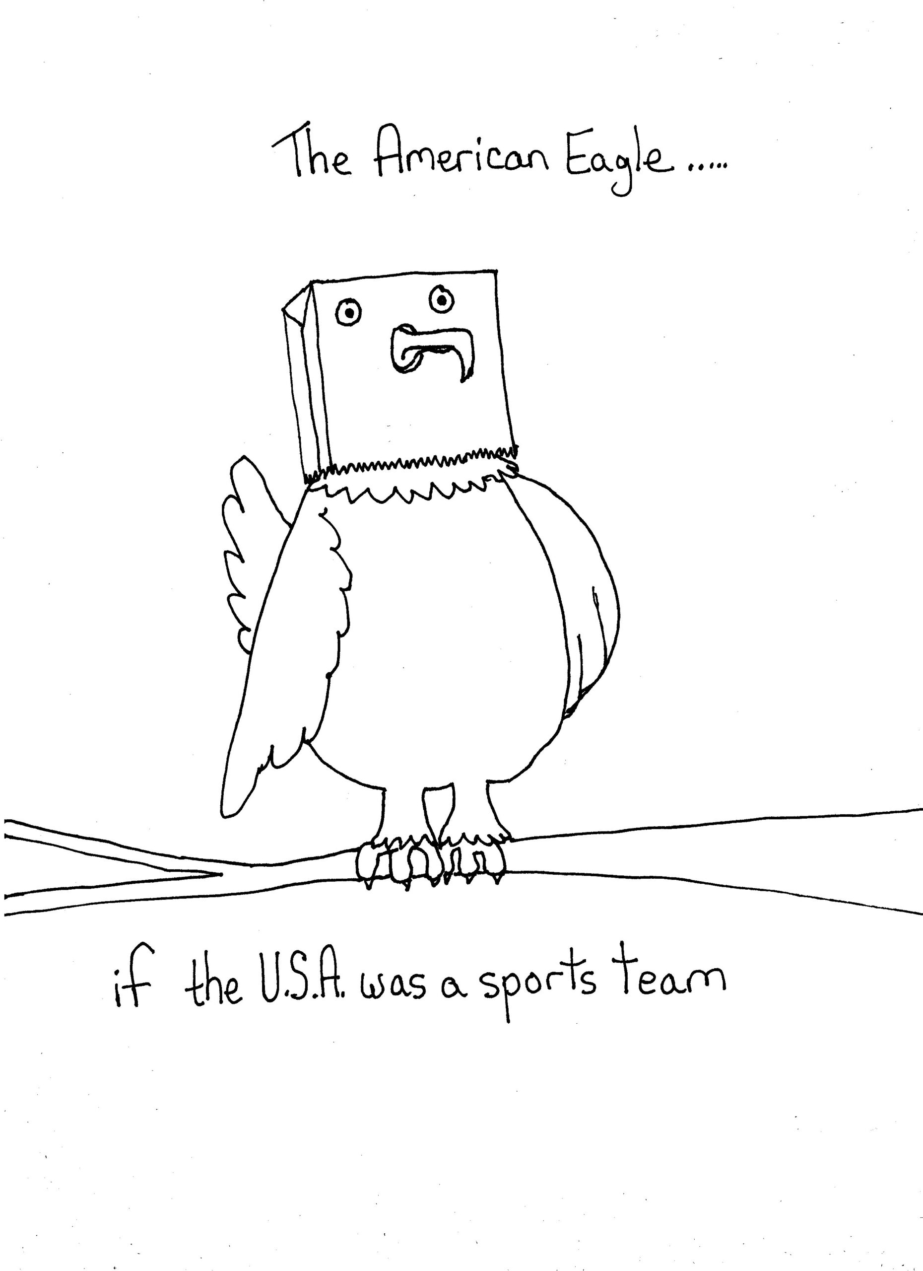 If Usa A Team