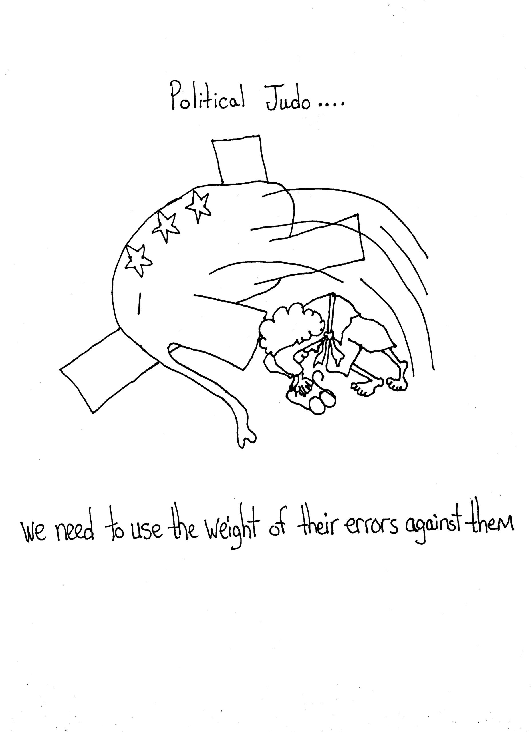 Political Judo