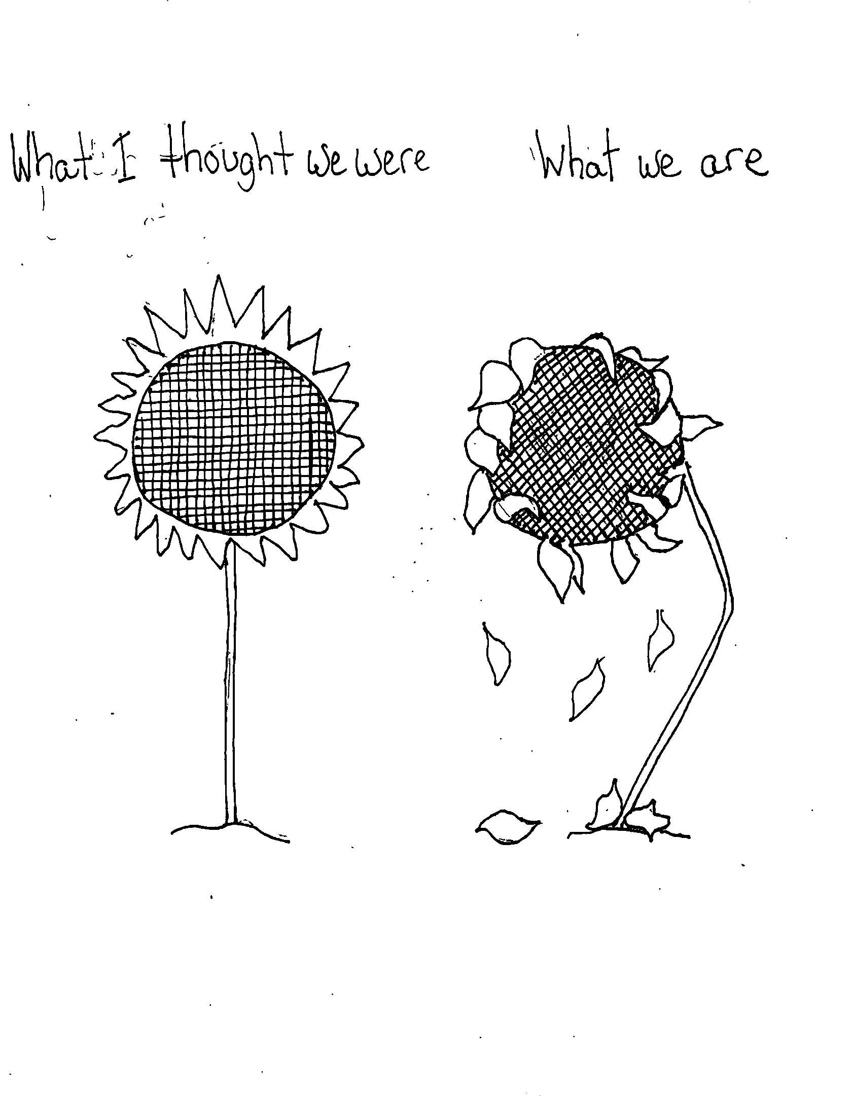 Thought Vs Are Now