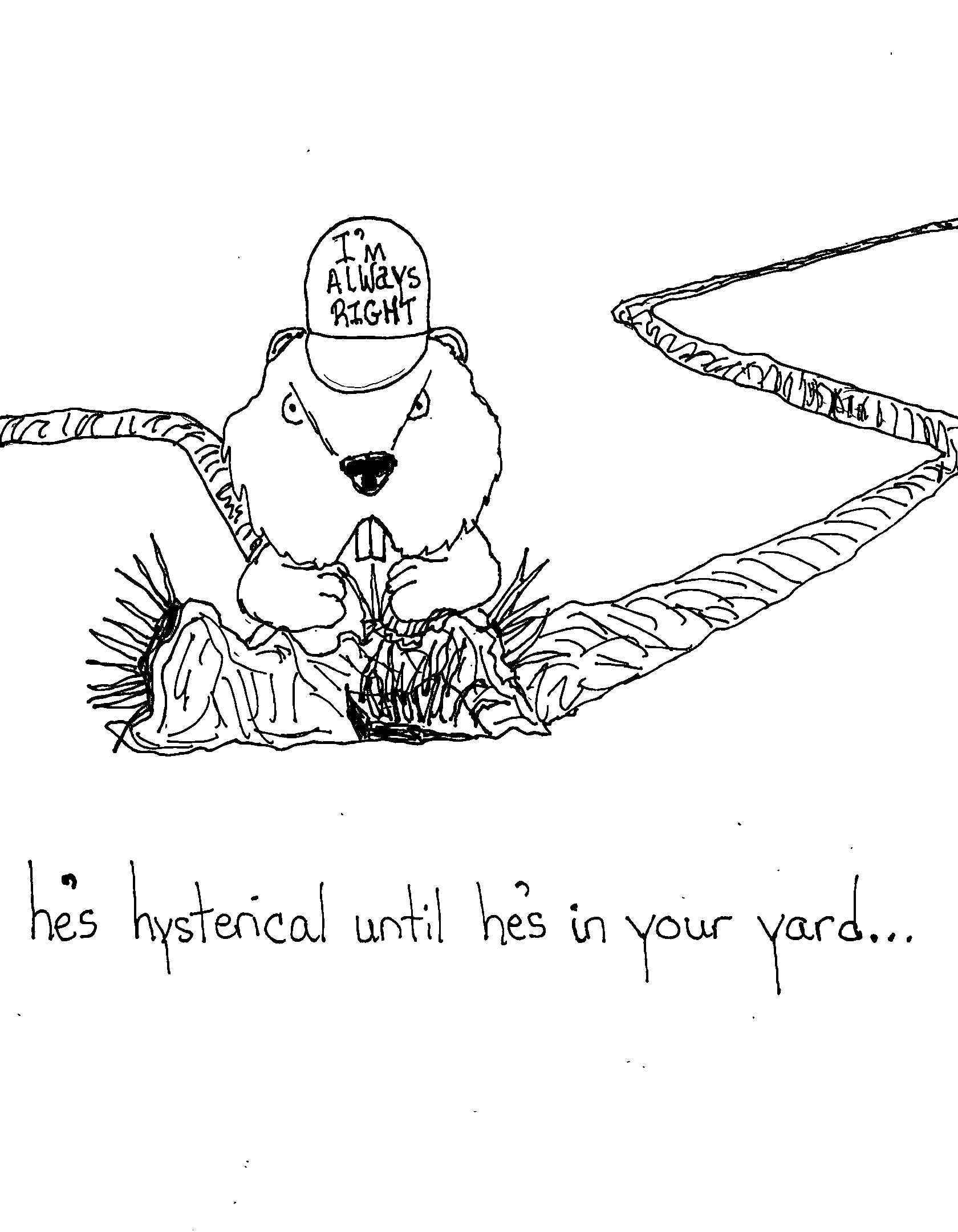 Not In Your Yard