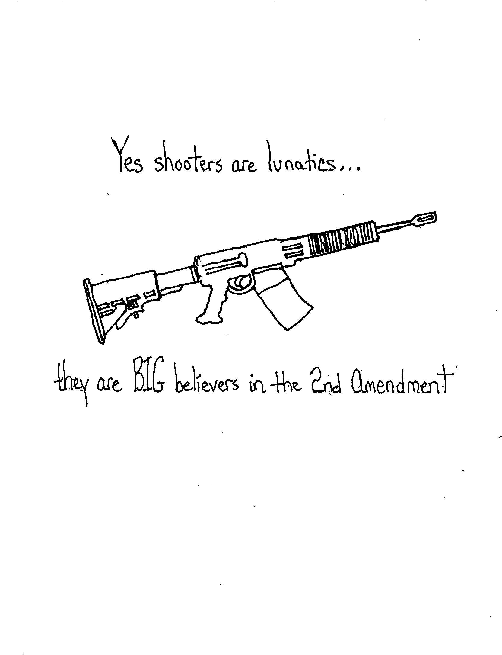 Lunatics And Nd Amendnuts