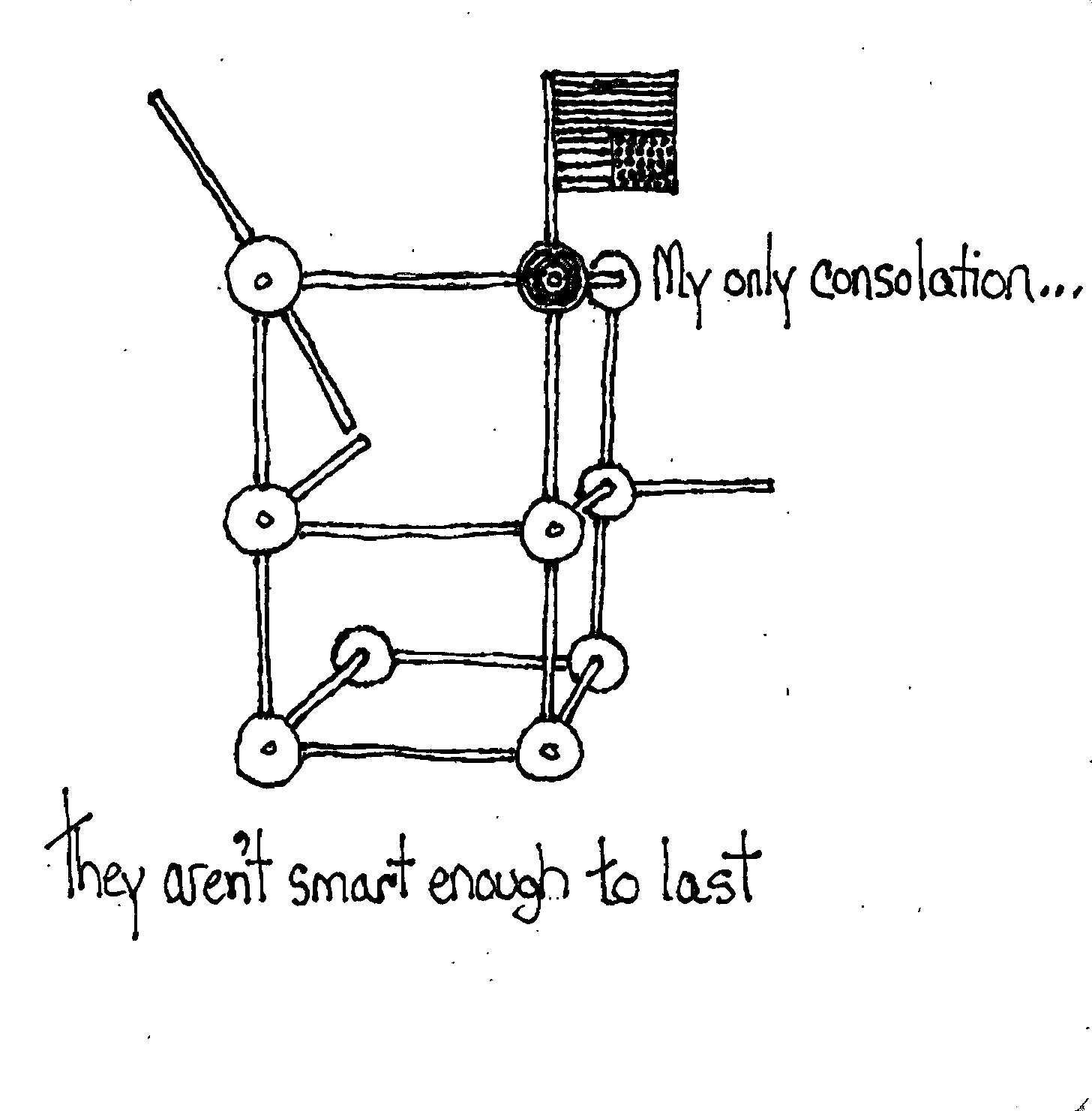 Not Near Smart Enough To Last