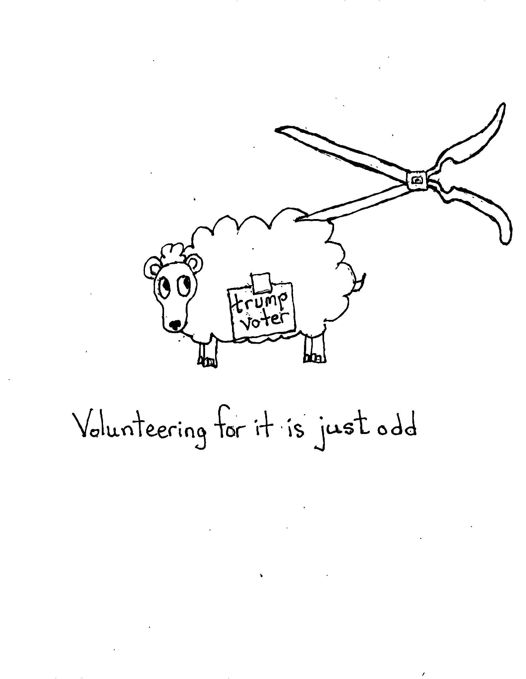 Volunteering Is Just Nuts