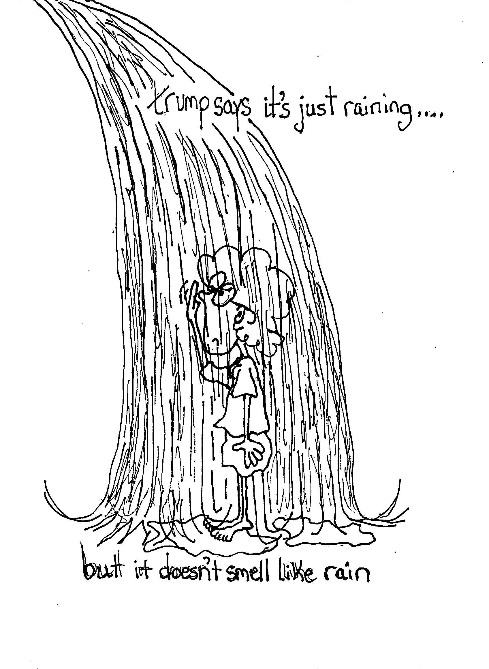 I Do Not Believe This Is Rain