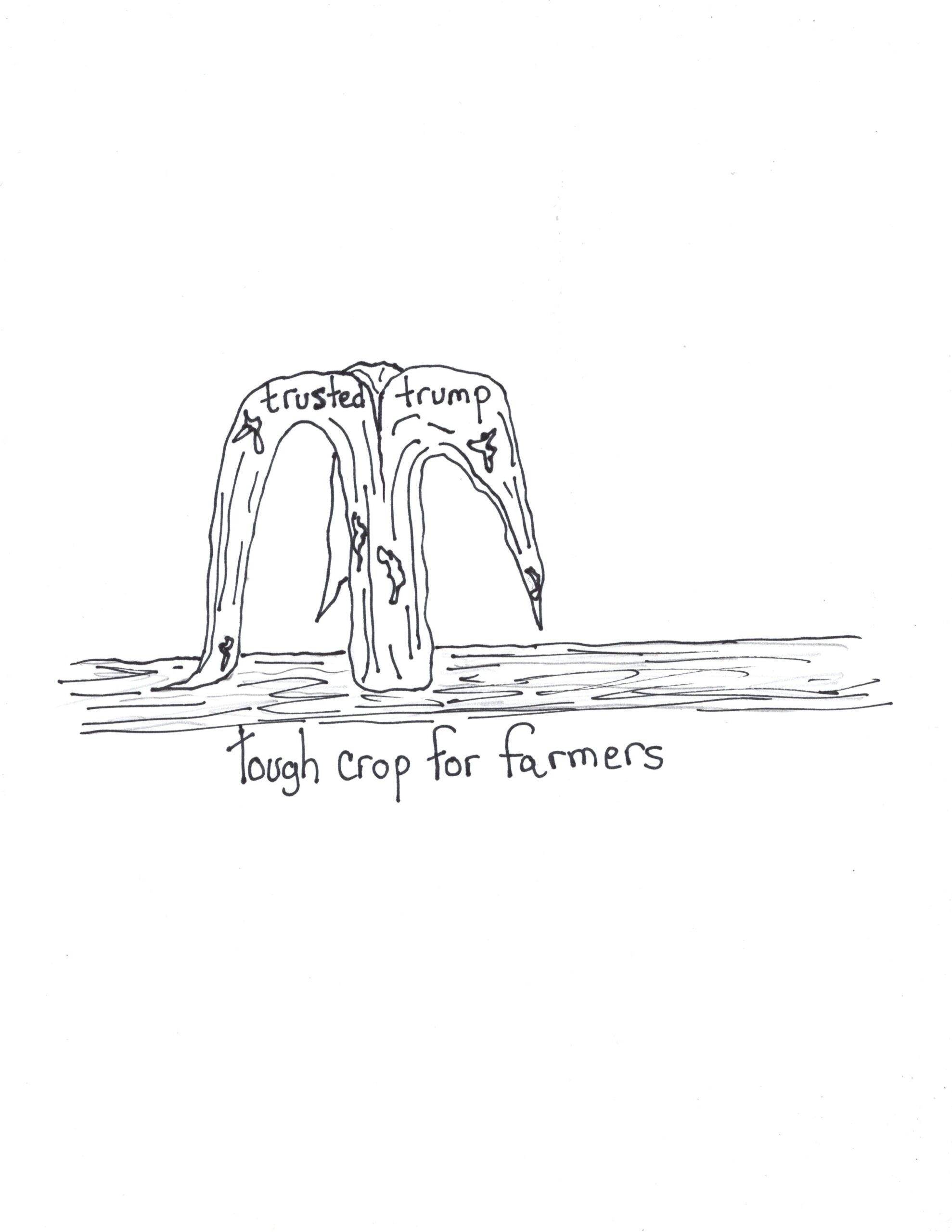 Farmers Made A Real Mistake