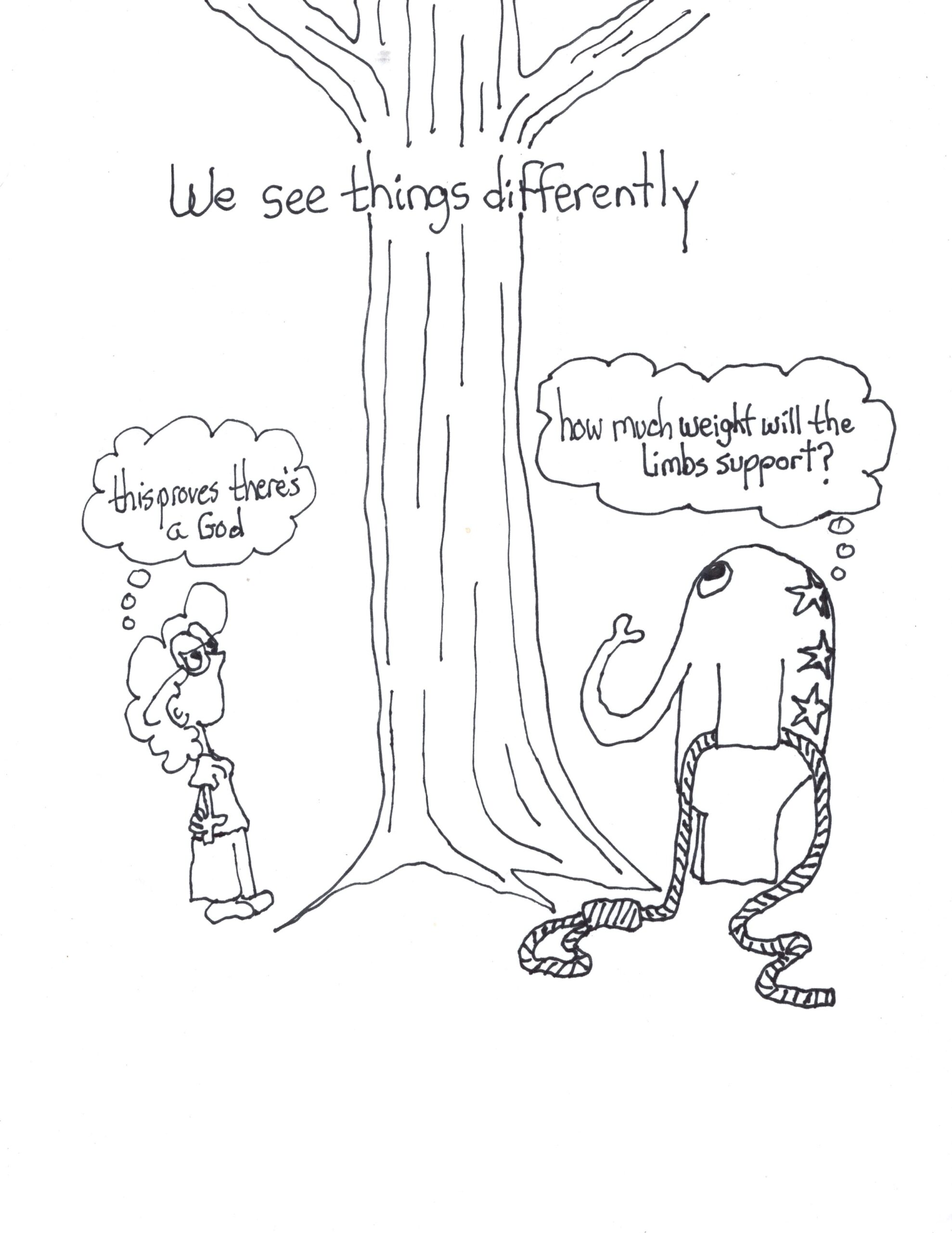 We Look At Trees Differently