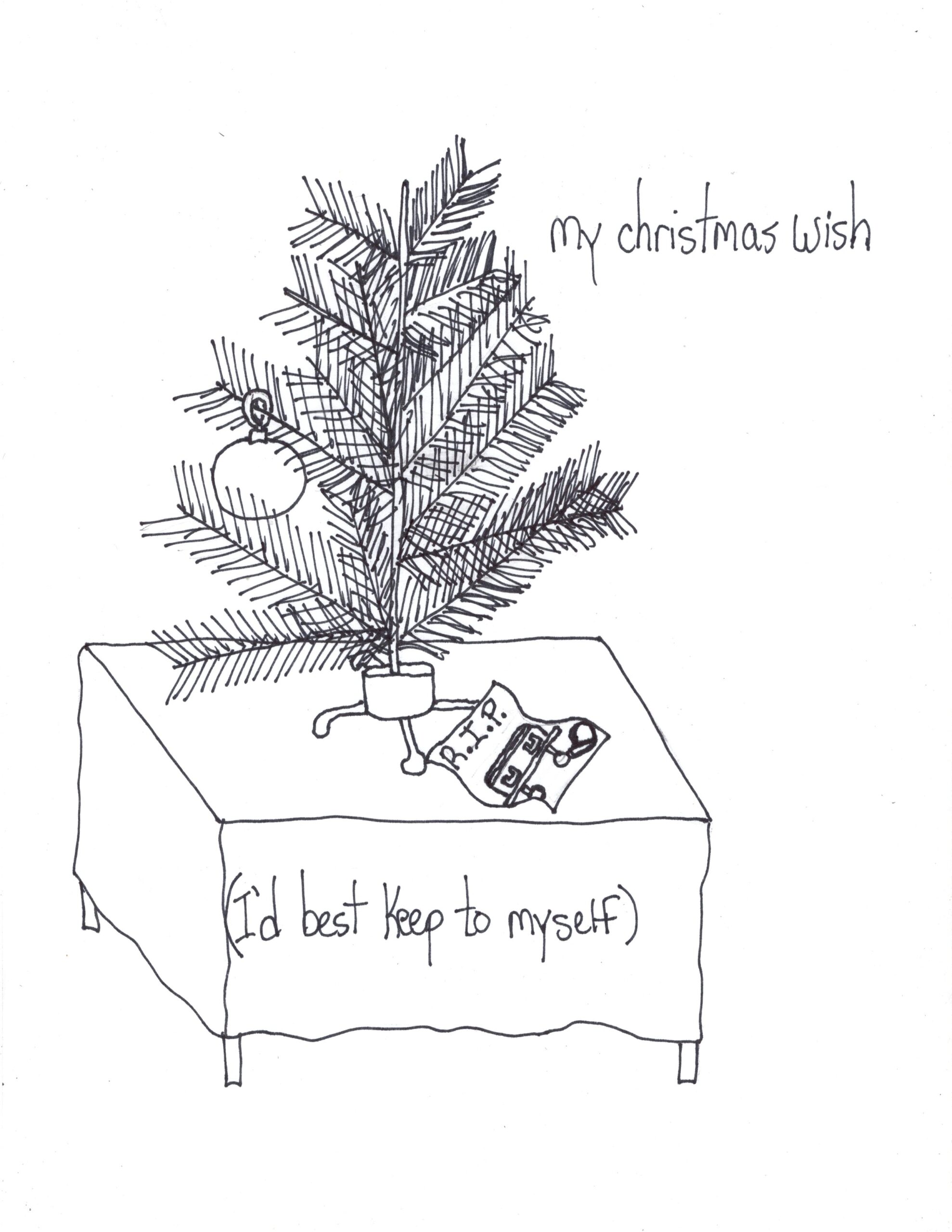 My Secret Christmas Gift Cant Tell
