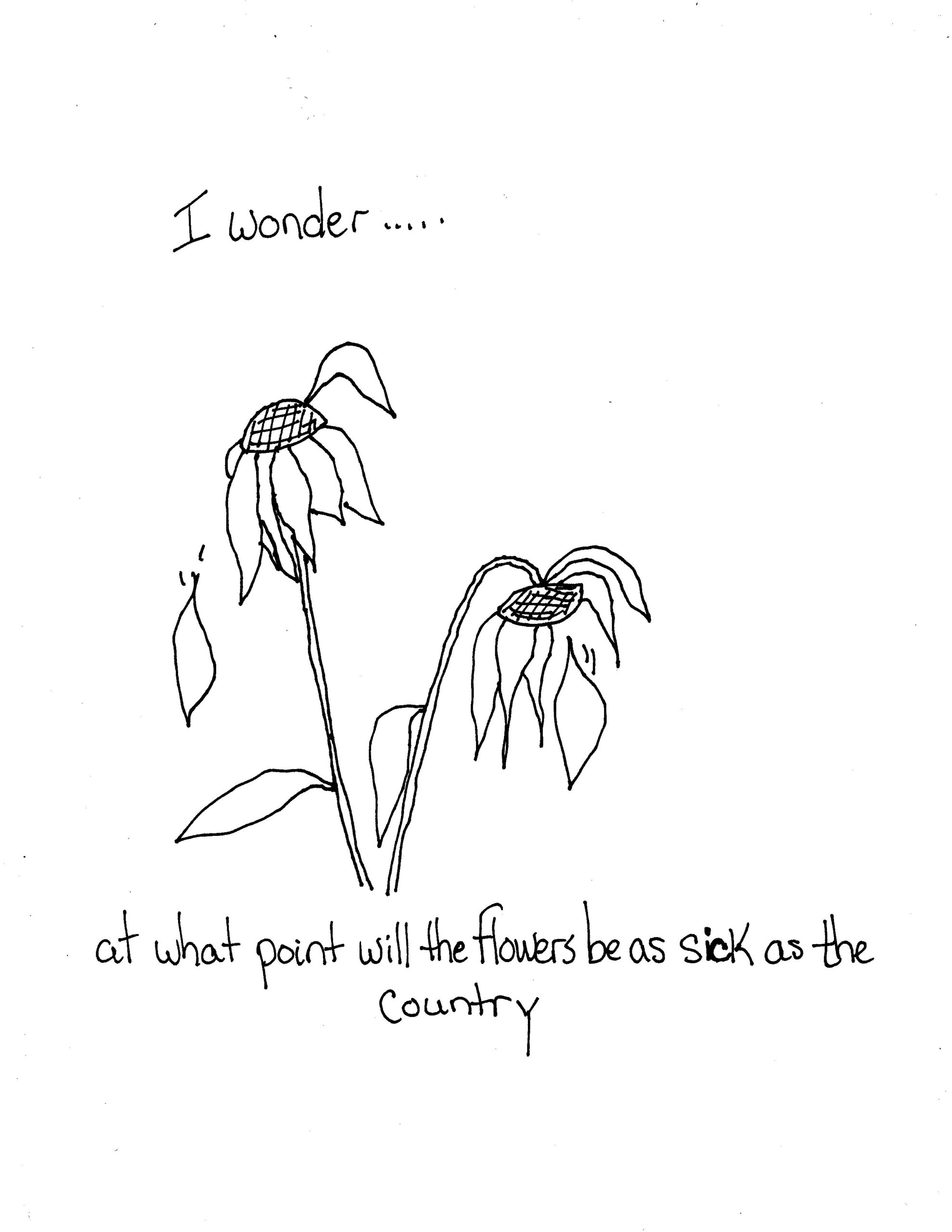 When Will The Flowers Know Too