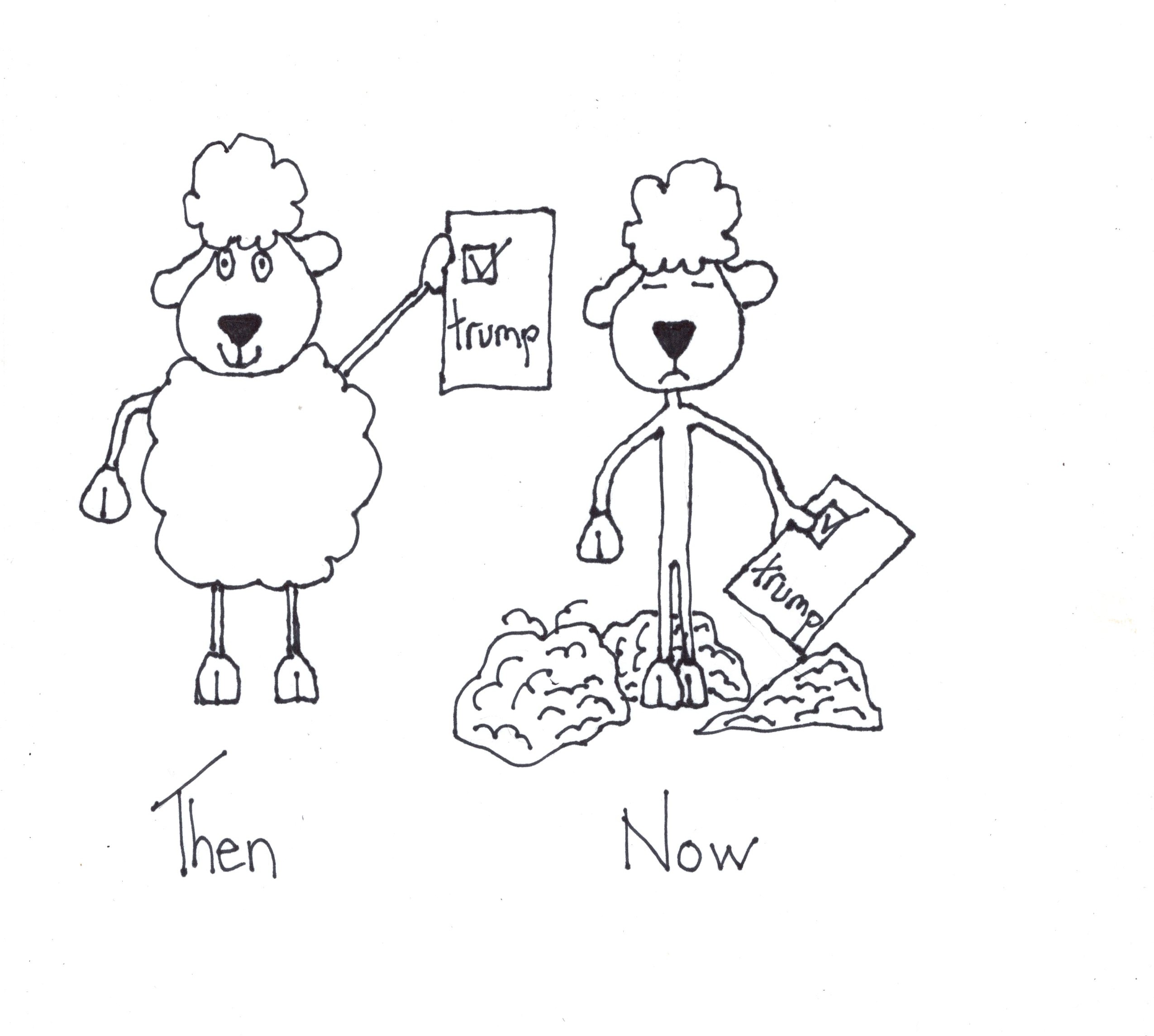 Before And After Trump Voter
