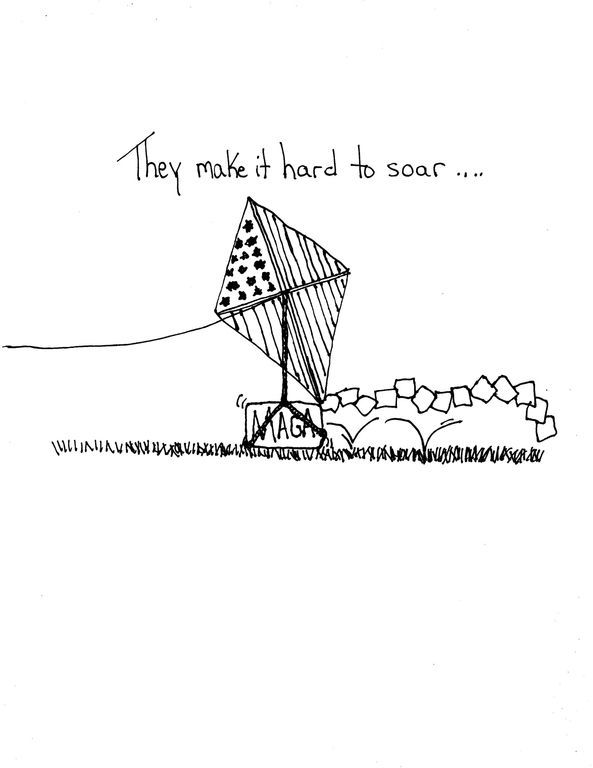 They Make It Very Hard To Fly