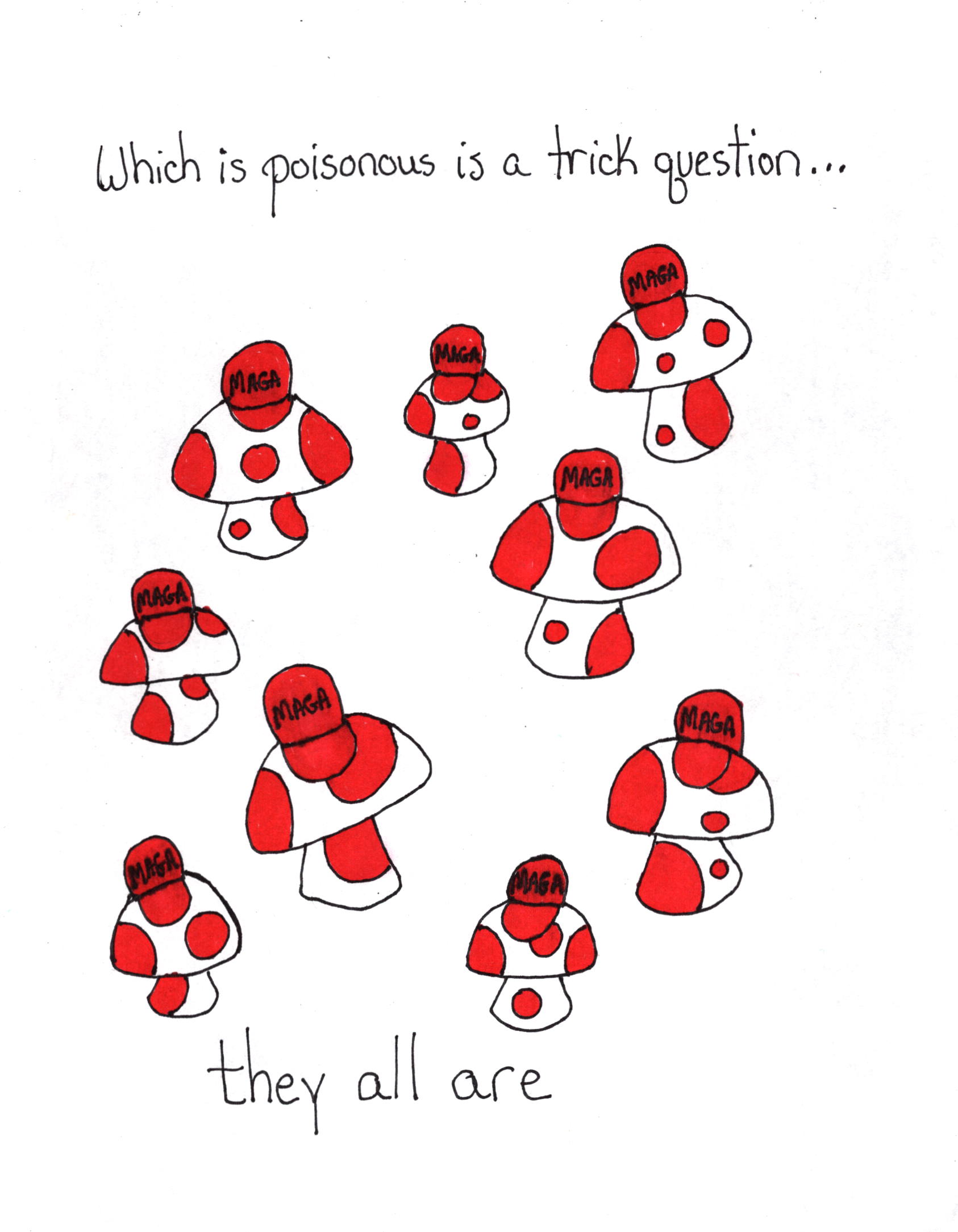Trick Question All Of Hem Are