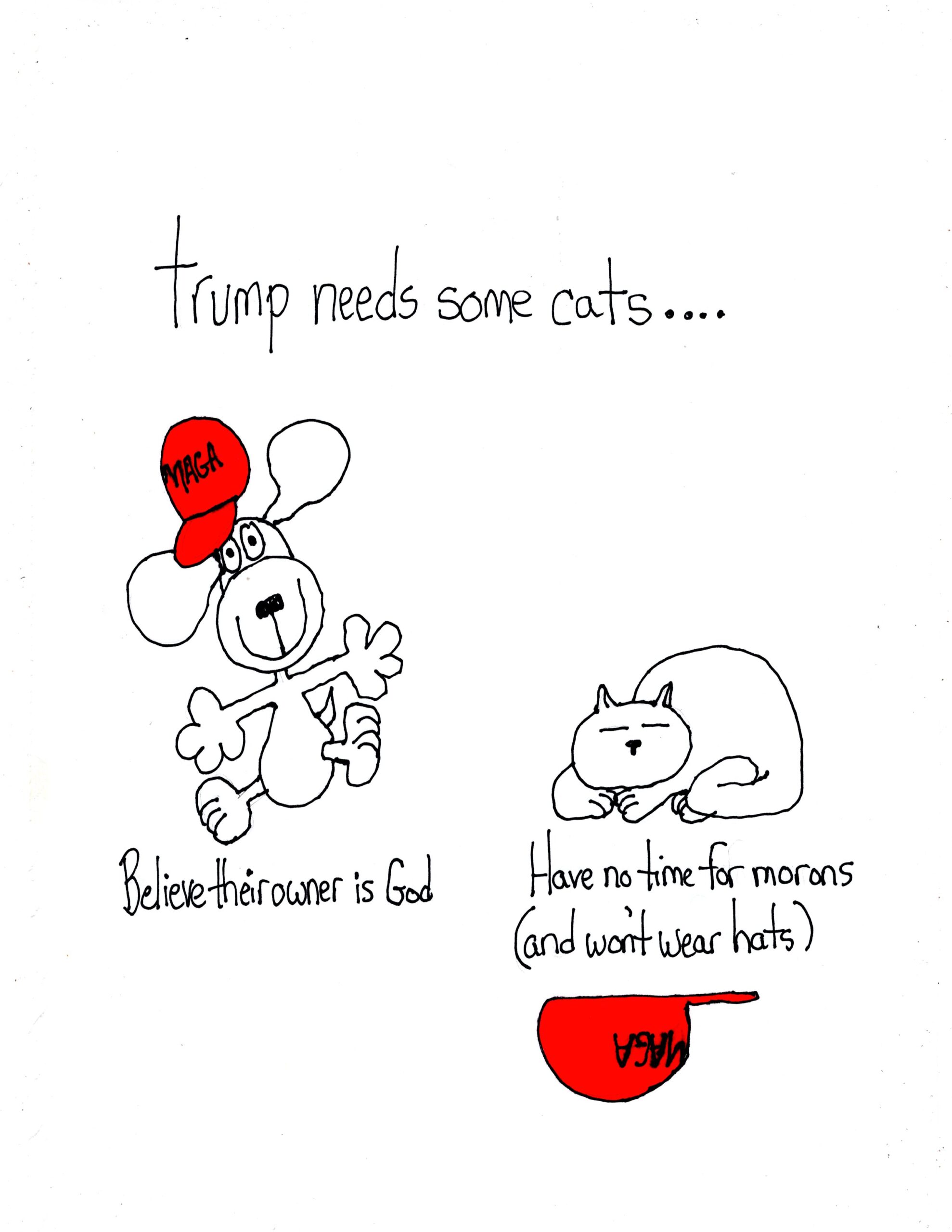 These Idiots Need More Cats