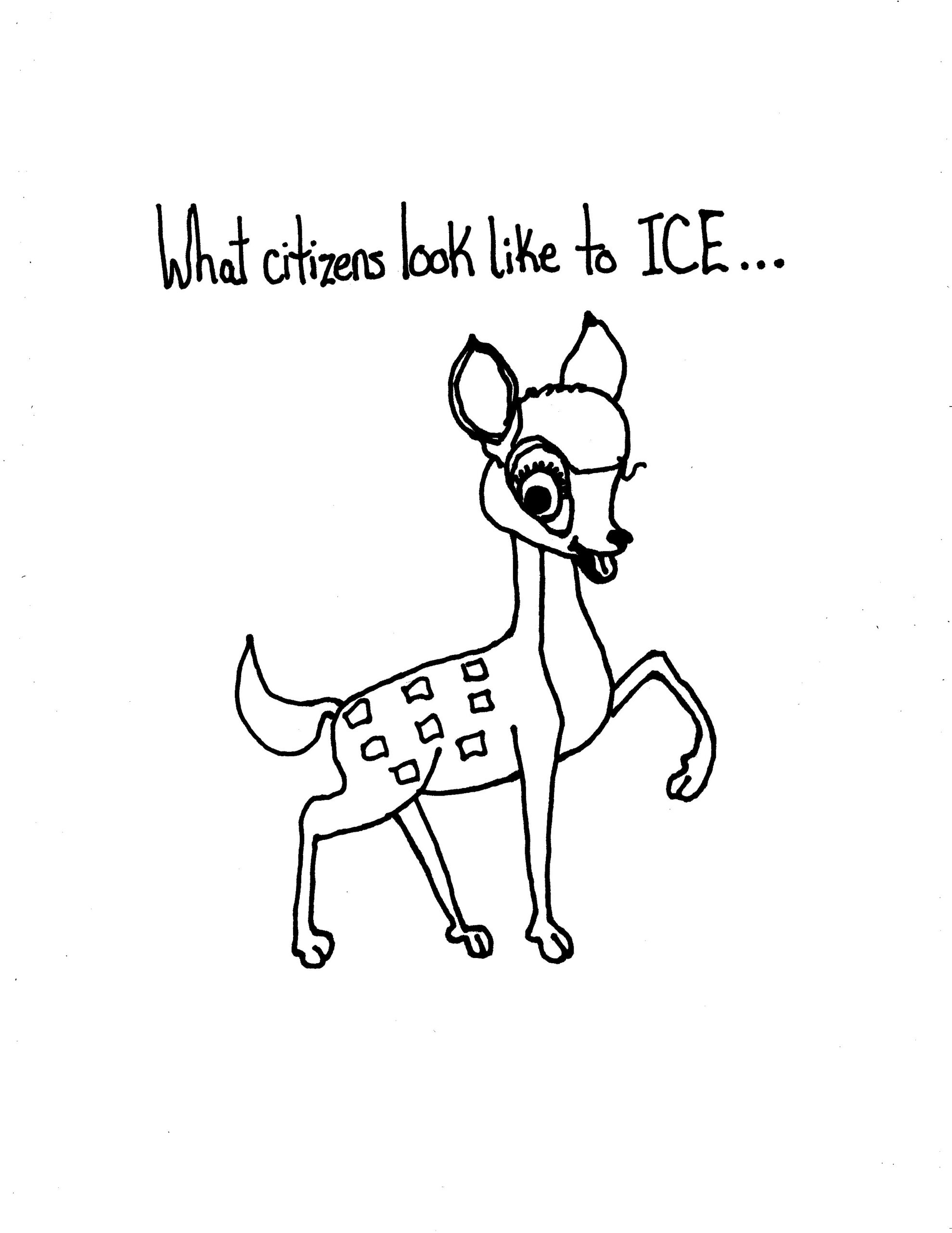 What they see….